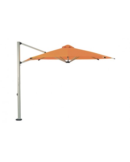 ISLA Umbrella