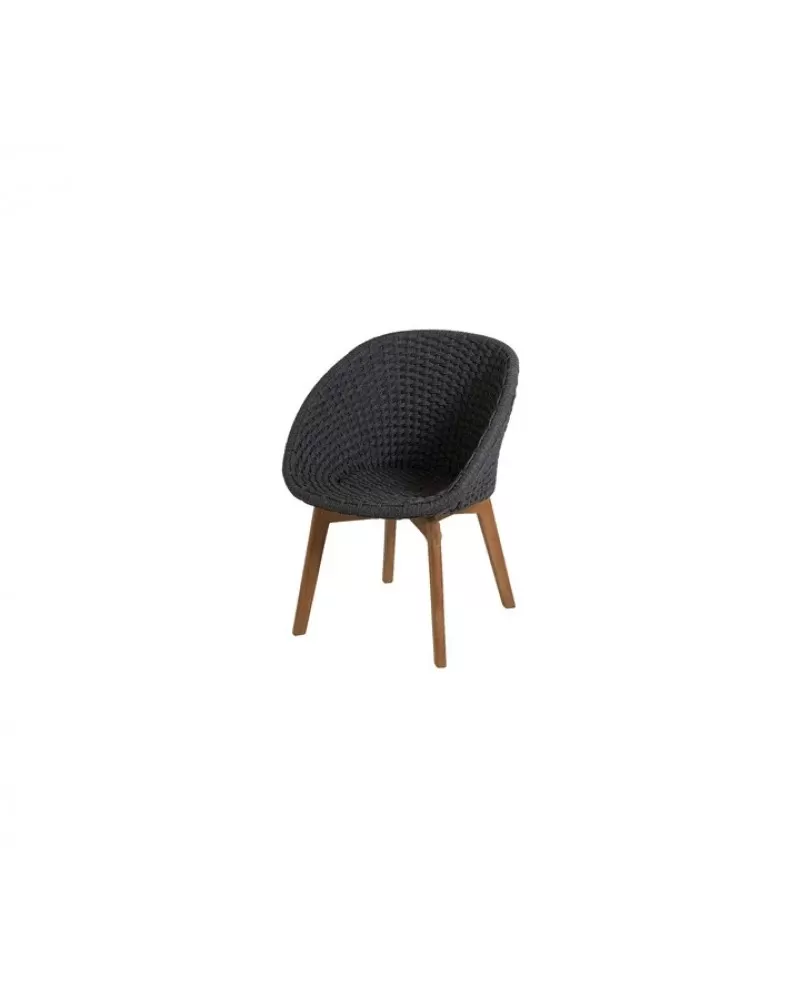 Peacock discount chair amazon