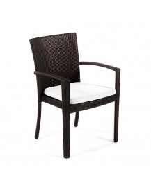 SENNA Dining Chair with Arms