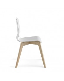 GLAMOUR WOOD Plastic Chair